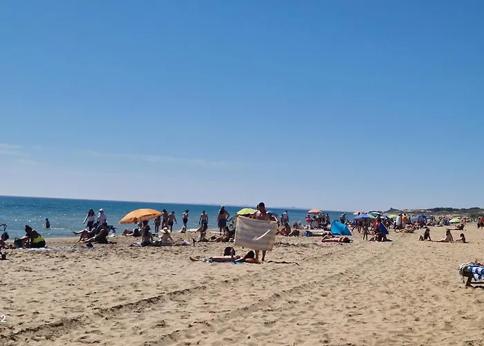 Beach Life Carabassi Beach Gran Alacant