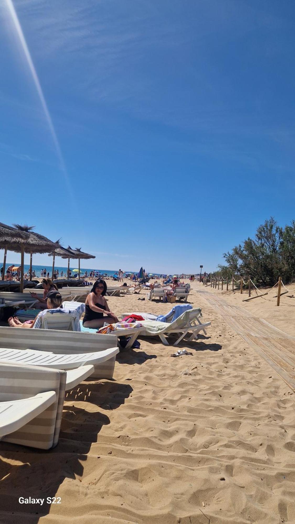 Life Carabassi Gran Alacant
